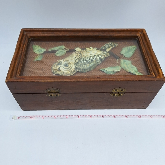 Vintage‎ Wood Box with Realistic Owl Behind Glass - Picture 6 of 7